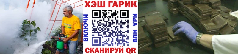 закладки  Гаджиево  Гашиш hashish 