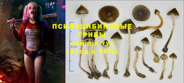 герыч Дмитров