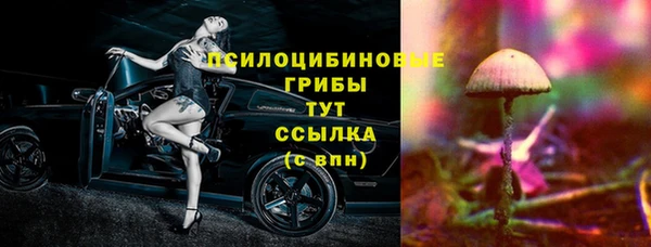 mdpv Вяземский