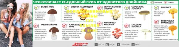 герыч Дмитров