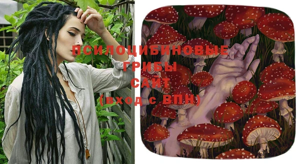 марки lsd Дмитровск