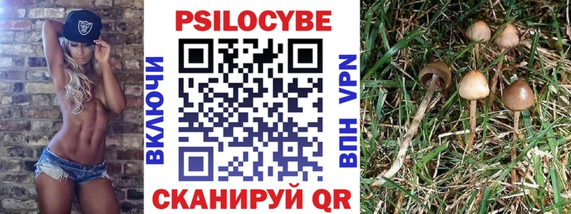 Псилоцибиновые грибы Psilocybe Гаджиево